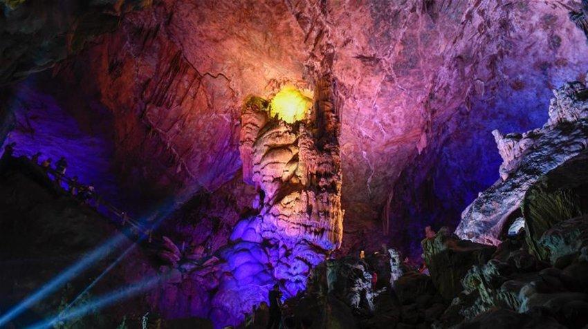 推进青年发展友好型广西建设写入自治区政府工作报告